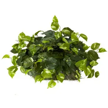 Горшок с искусственным растением на пенопластовом листе, зеленый
